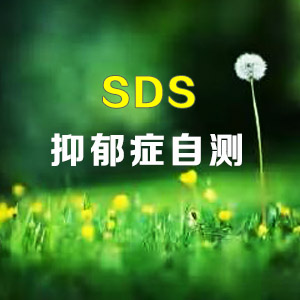 ֢Բ(SDS)